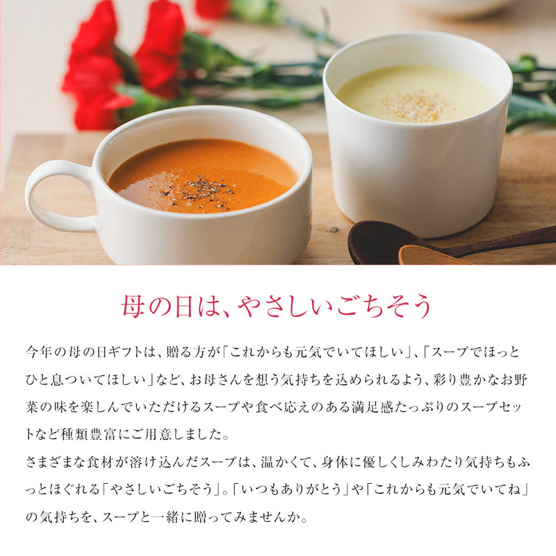 Soup Stock Tokyo 【母の日】食べやすさに配慮した6スープセット（掛け