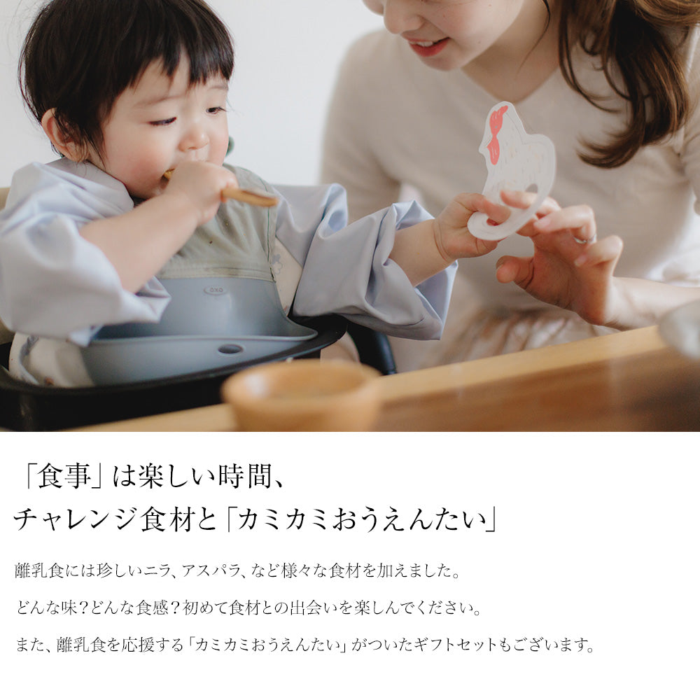 おかわりしたくなる離乳食ギフトセット（4個入り）【カミカミお